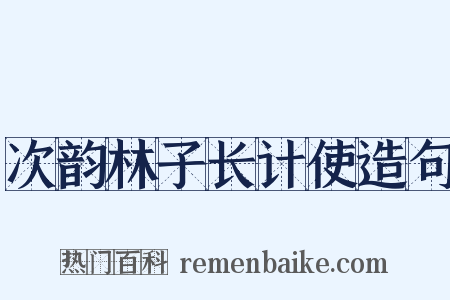 次韵林子长计使造句是什么意思的图片